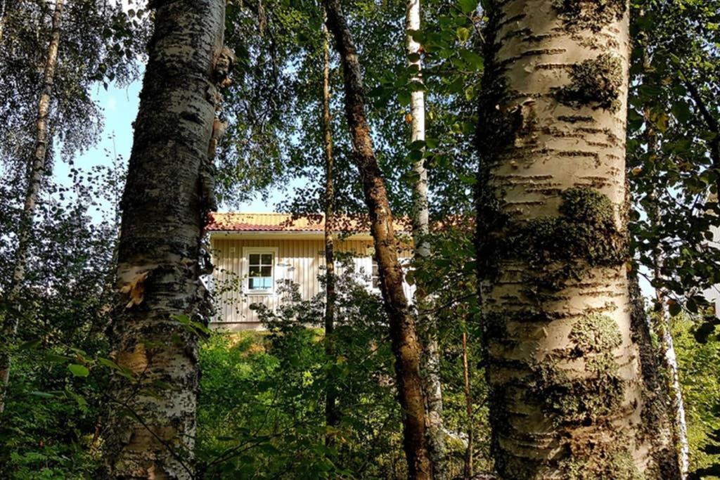 Nybyggd Stuga Intill Skogsbrynet - New Built Cottage Next To The Cowberry Forest Mora Ngoại thất bức ảnh
